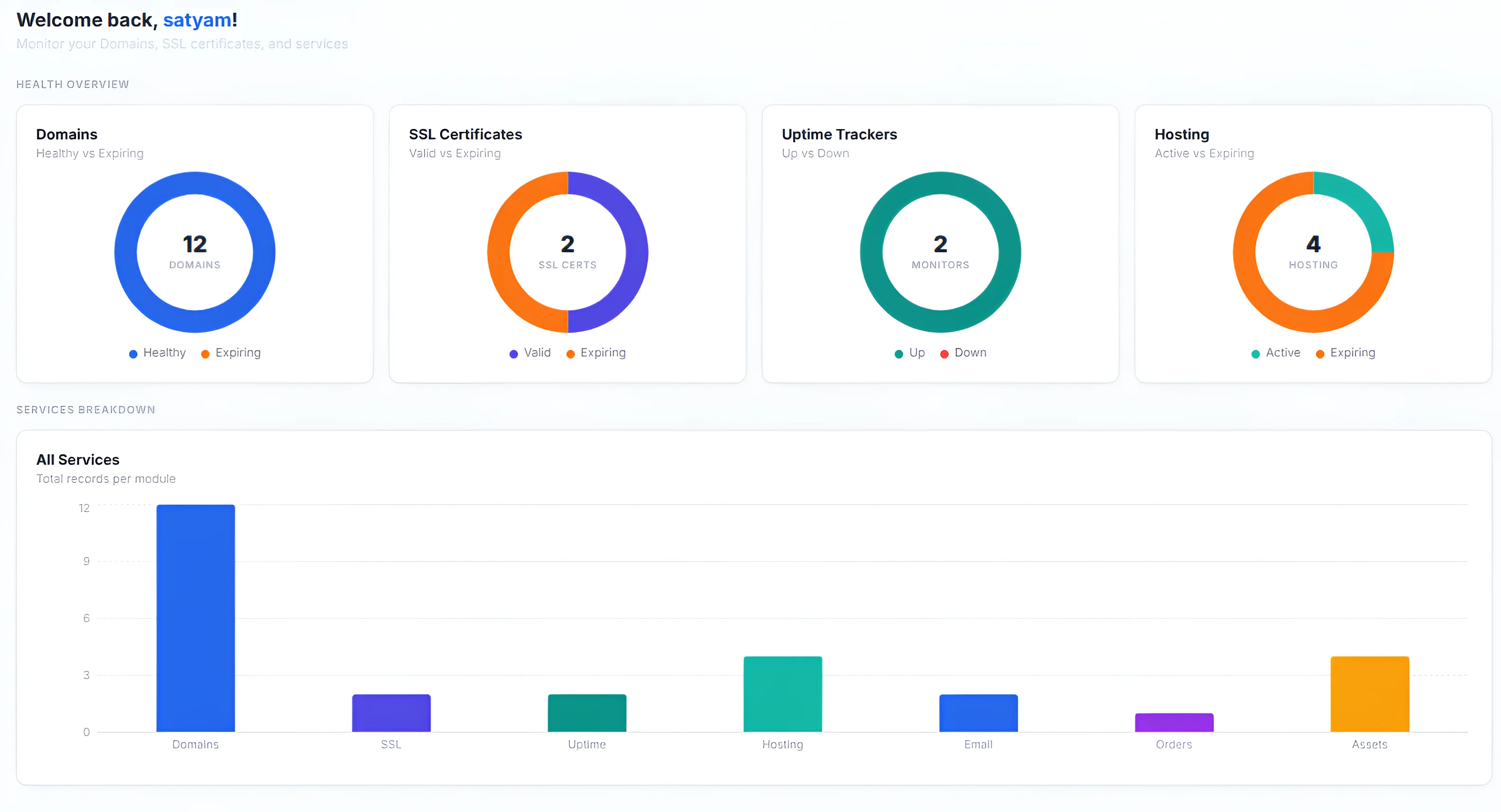 Domain and SSL Checker dashboard showing domain, certificate, and uptime health